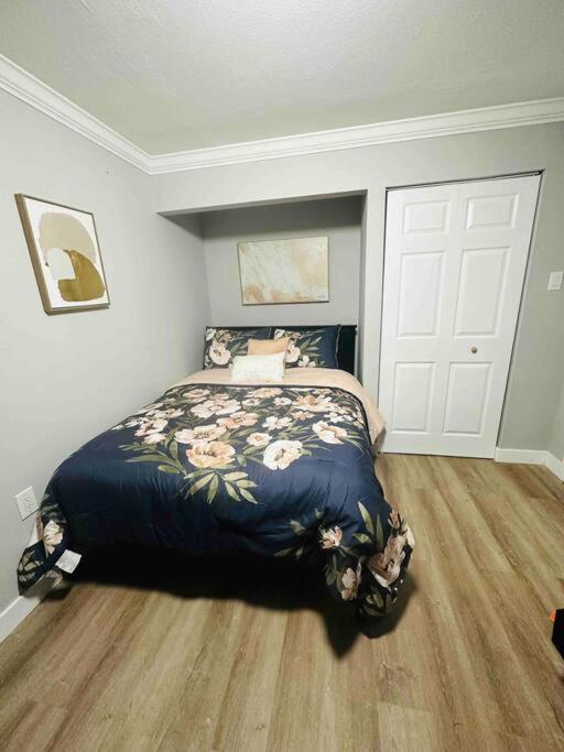 Coral Gables Miami Studio Near Airport And Beaches Zewnętrze zdjęcie