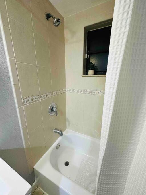 Coral Gables Miami Studio Near Airport And Beaches Zewnętrze zdjęcie