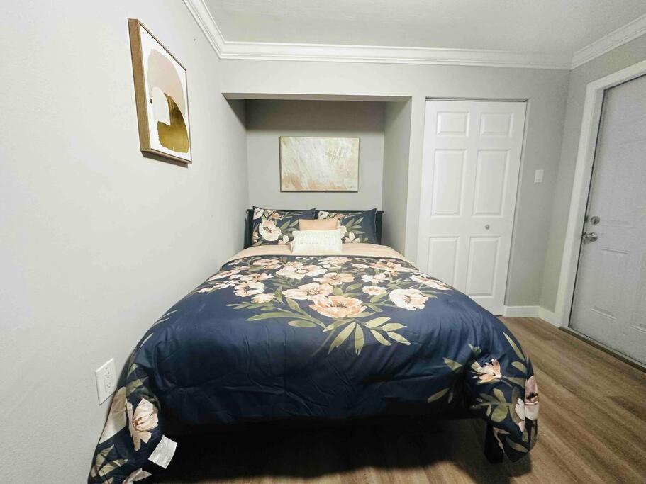 Coral Gables Miami Studio Near Airport And Beaches Zewnętrze zdjęcie